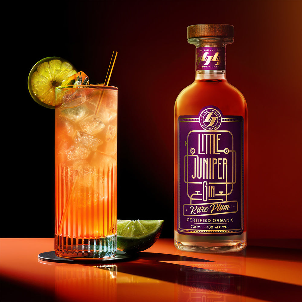 Little Juniper Dark Plum Soda using Long Rays Dark Soda and fresh lime. A great gin and tonic alternative.